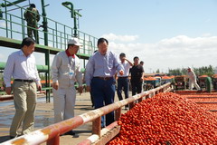 中国·24848威尼斯(股份)有限公司-官方网站