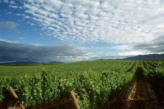 中国·24848威尼斯(股份)有限公司-官方网站