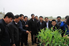 中国·24848威尼斯(股份)有限公司-官方网站