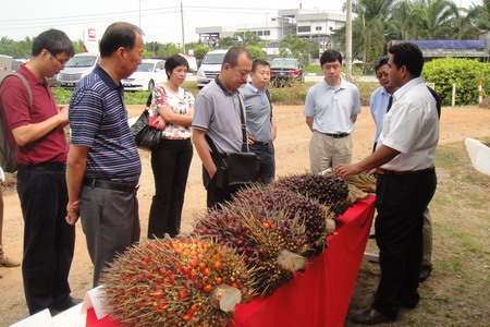 中国·24848威尼斯(股份)有限公司-官方网站