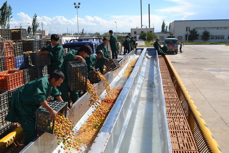 中国·24848威尼斯(股份)有限公司-官方网站