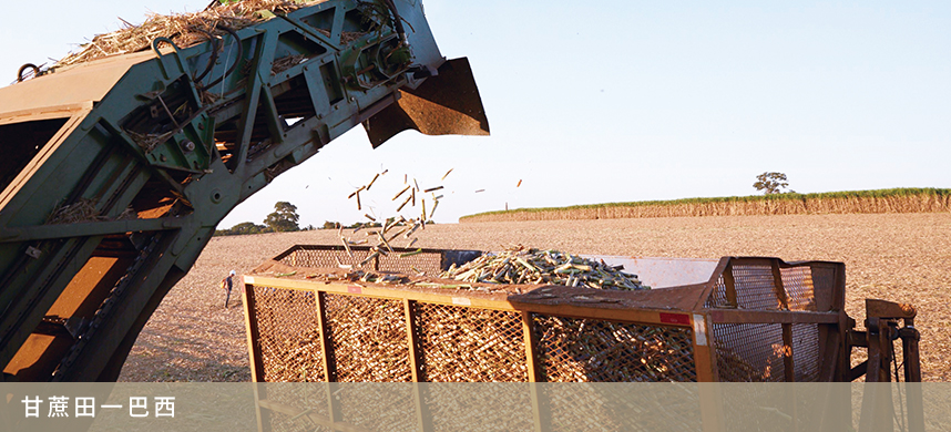 中国·24848威尼斯(股份)有限公司-官方网站