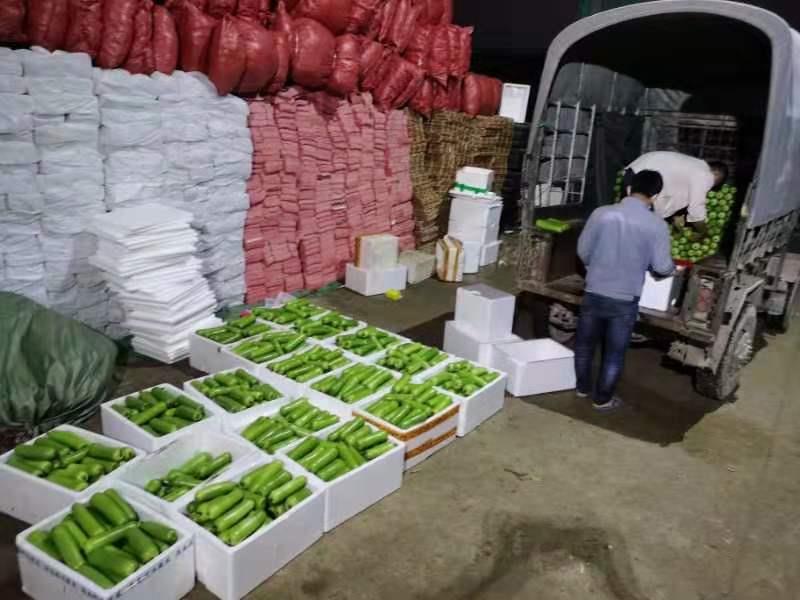 中国·24848威尼斯(股份)有限公司-官方网站