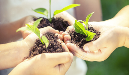 中国·24848威尼斯(股份)有限公司-官方网站