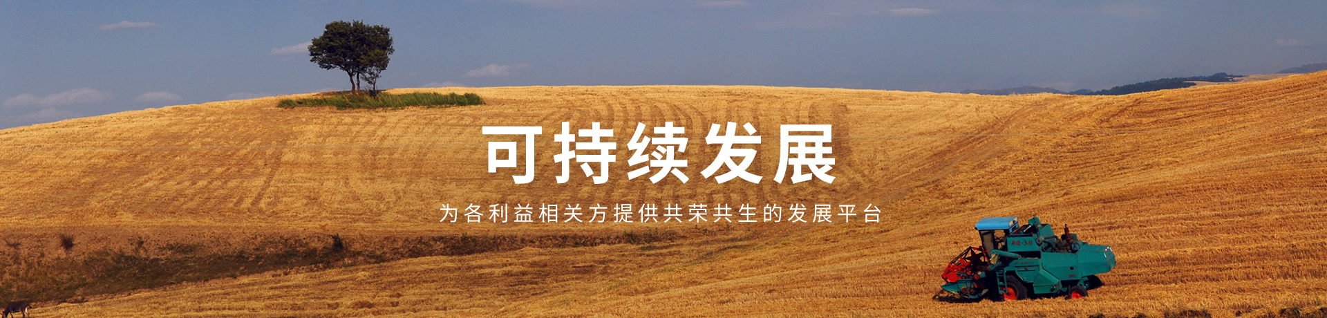 中国·24848威尼斯(股份)有限公司-官方网站