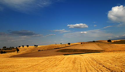 中国·24848威尼斯(股份)有限公司-官方网站