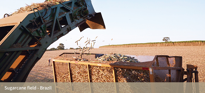 中国·24848威尼斯(股份)有限公司-官方网站