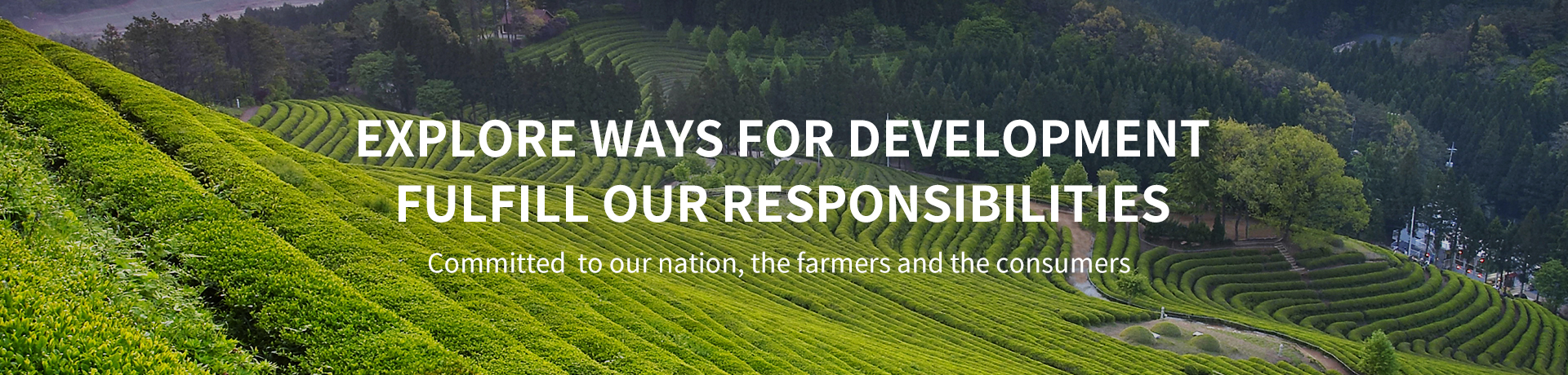 中国·24848威尼斯(股份)有限公司-官方网站