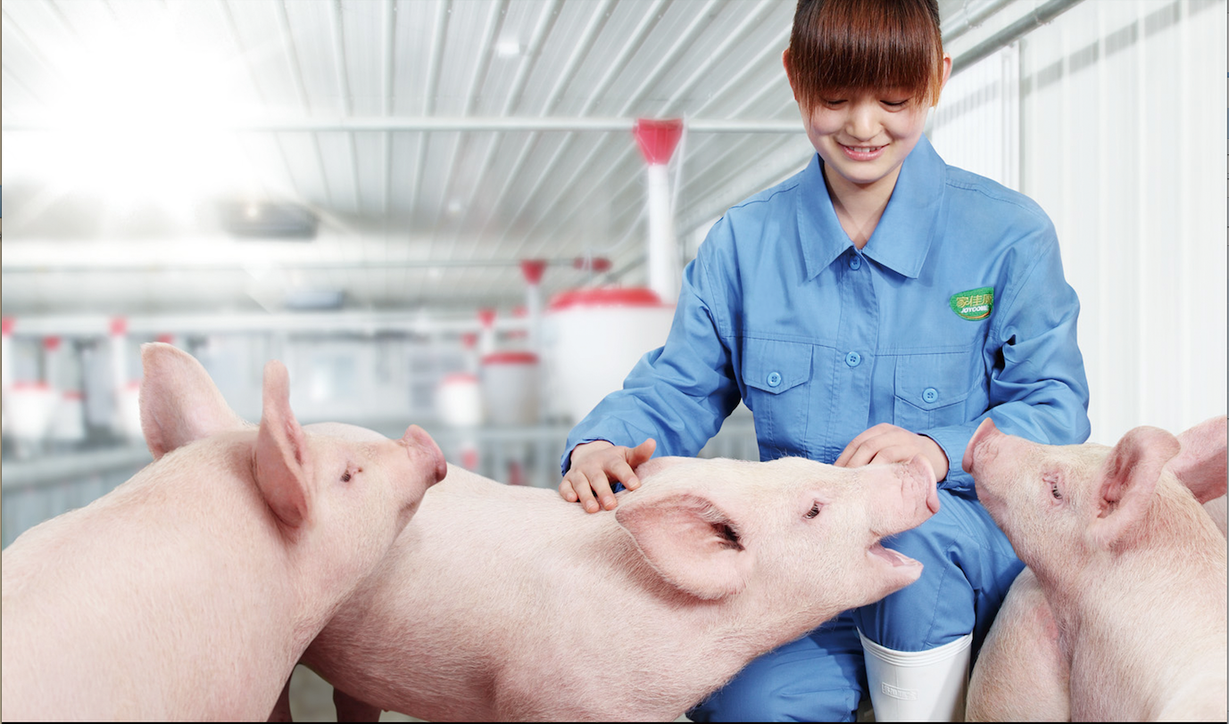 中国·24848威尼斯(股份)有限公司-官方网站