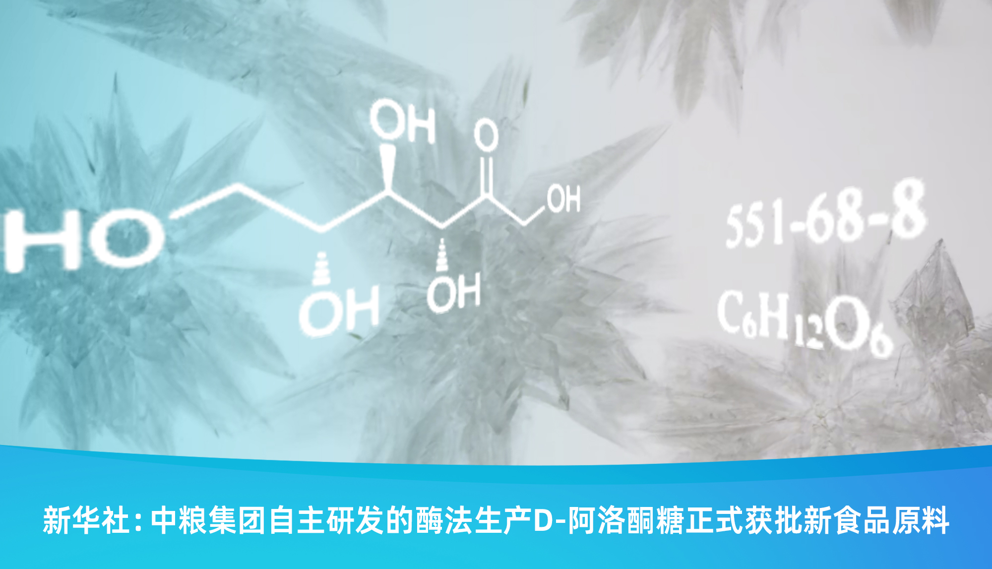 17516198812731398_2000x1147